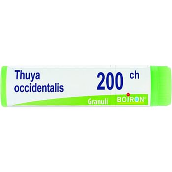 Thuya occidentalis 200 ch globuli