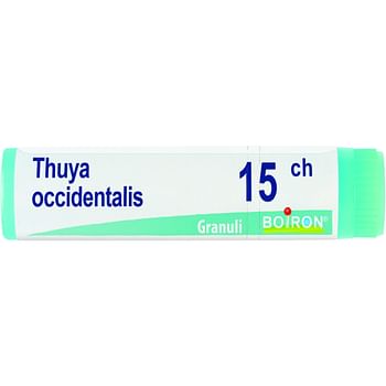 Thuya occidentalis 15 ch globuli